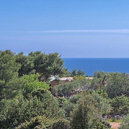 Apartments Irena Χβαρ Εξωτερικό φωτογραφία